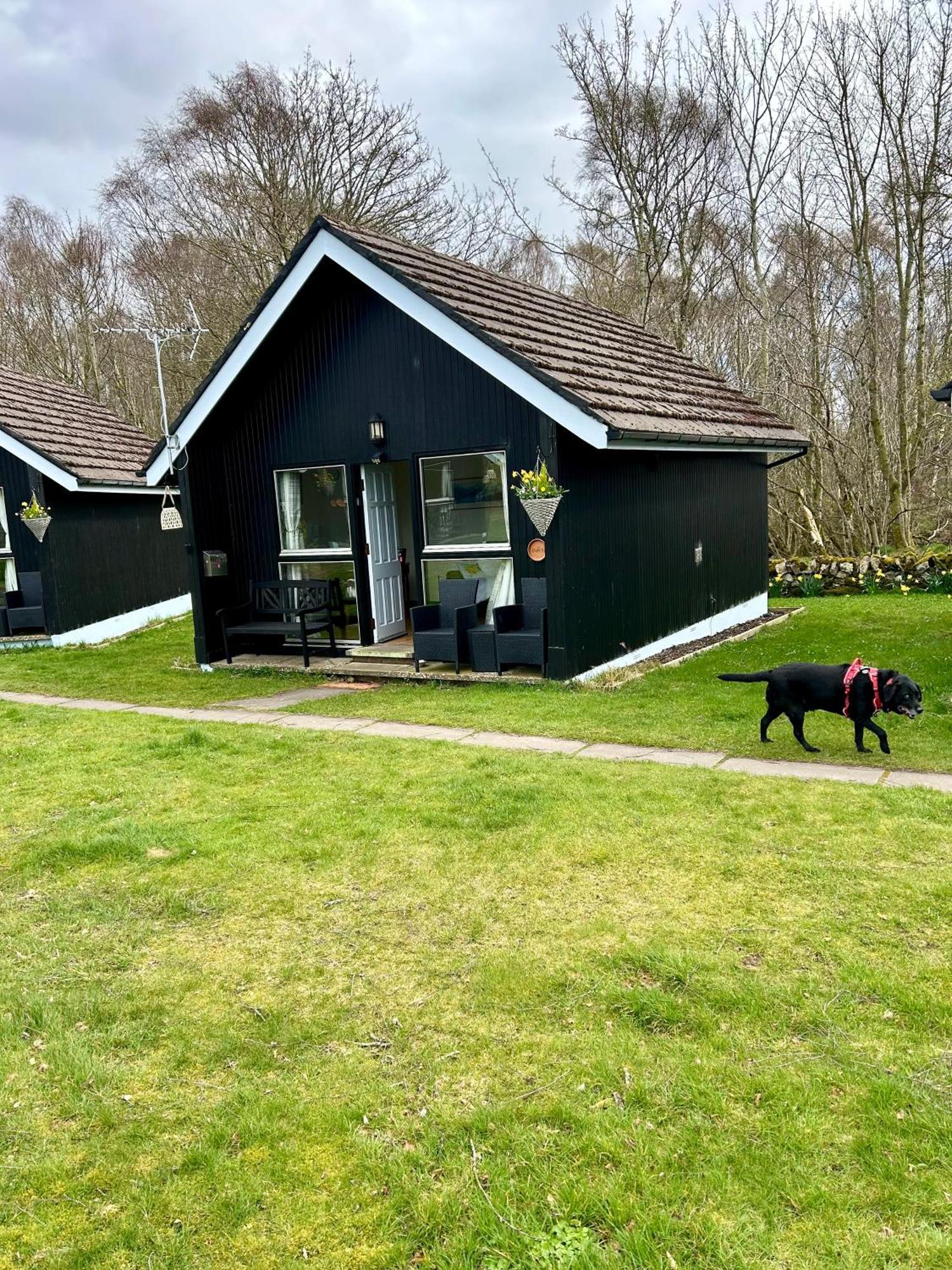 Kilcoy Chalets Muir of Ord Ngoại thất bức ảnh